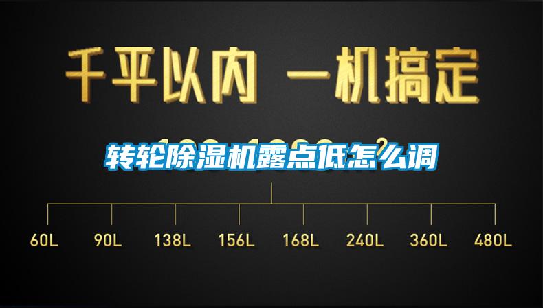 欧美黄色电影在线播放 转轮除湿机露点低怎么调