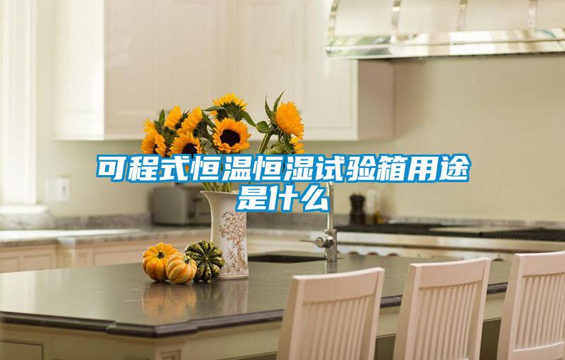 欧美黄色电影在线播放 可程式恒温恒湿试验箱用途是什么