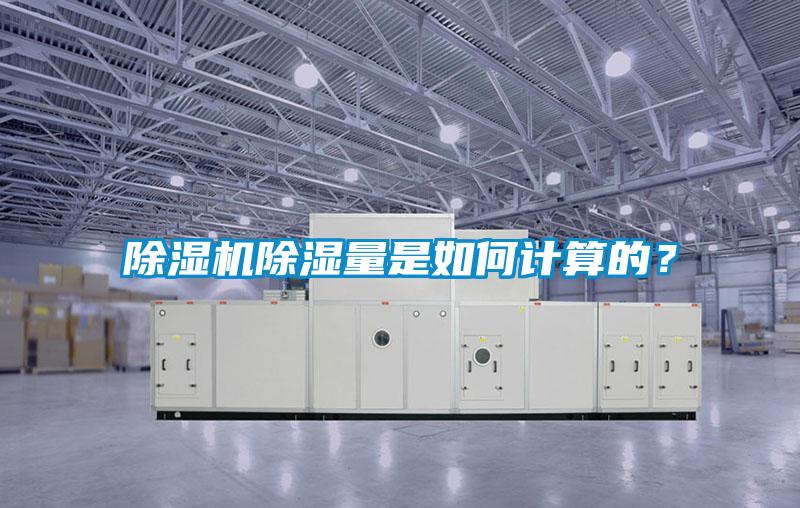 欧美黄色电影在线播放 除湿机除湿量是如何计算的？