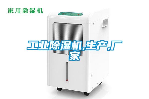 欧美黄色性爱视频网站 工业除湿机,生产,厂家