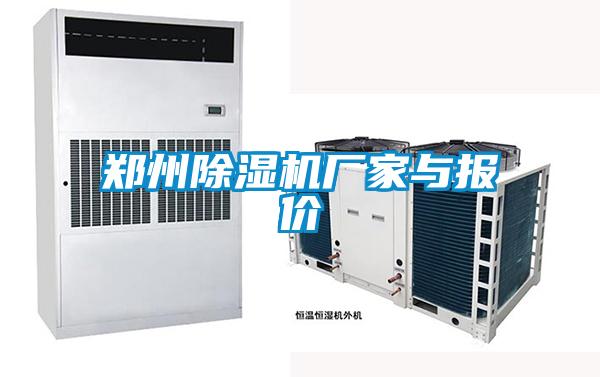 欧美黄色电影在线播放 郑州除湿机厂家与报价