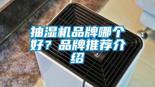 欧美黄色性爱视频网站 抽湿机品牌哪个好？品牌推荐介绍