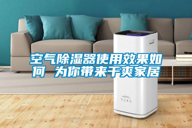 欧美成色手机在线观看 空气除湿器使用效果如何 为你带来干爽家居