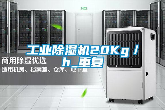 欧美黄色性爱视频网站 工业除湿机20Kg／h_重复