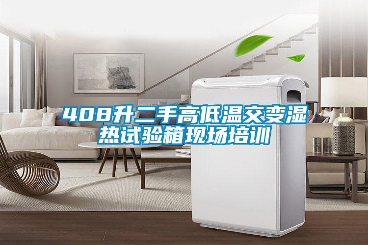 欧美成色手机在线观看 408升二手高低温交变湿热试验箱现场培训