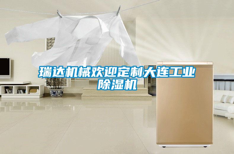 欧美黄色性爱视频网站 瑞达机械欢迎定制大连工业除湿机