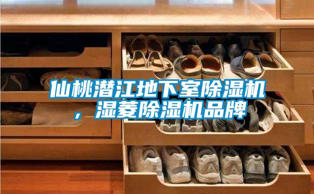 欧美成色手机在线观看 仙桃潜江地下室除湿机，湿菱除湿机品牌