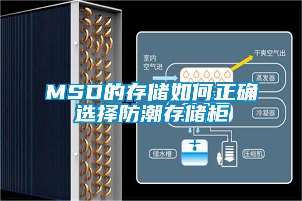 欧美黄色性爱视频网站 MSD的存储如何正确选择防潮存储柜