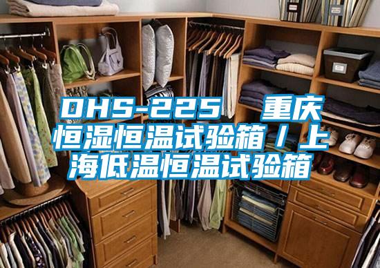 欧美成色手机在线观看 DHS-225  重庆恒湿恒温试验箱／上海低温恒温试验箱