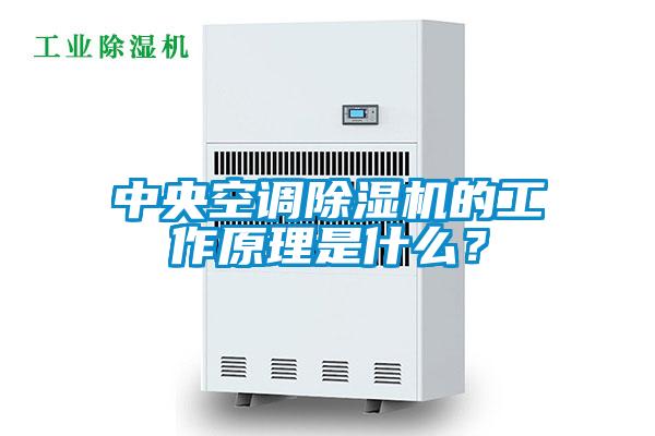 欧美成色手机在线观看 中央空调除湿机的工作原理是什么？