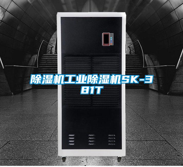 欧美黄色电影在线播放 除湿机工业除湿机SK-381T