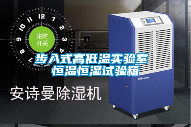 欧美黄色性爱视频网站 步入式高低温实验室 恒温恒湿试验箱