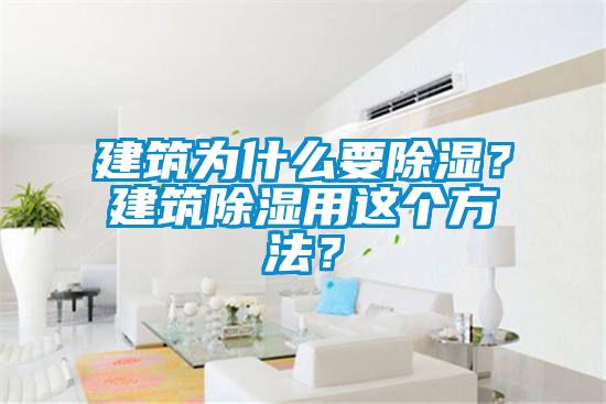 欧美黄色电影在线播放 建筑为什么要除湿？建筑除湿用这个方法？