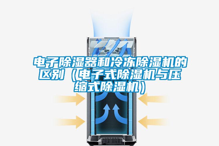 欧美成色手机在线观看 电子除湿器和冷冻除湿机的区别（电子式除湿机与压缩式除湿机）