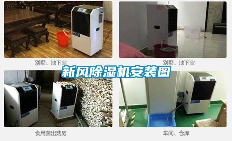 欧美成色手机在线观看 新风除湿机安装图