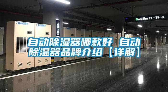 欧美成色手机在线观看 自动除湿器哪款好 自动除湿器品牌介绍【详解】