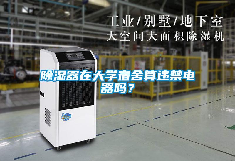 欧美黄色电影在线播放 除湿器在大学宿舍算违禁电器吗？