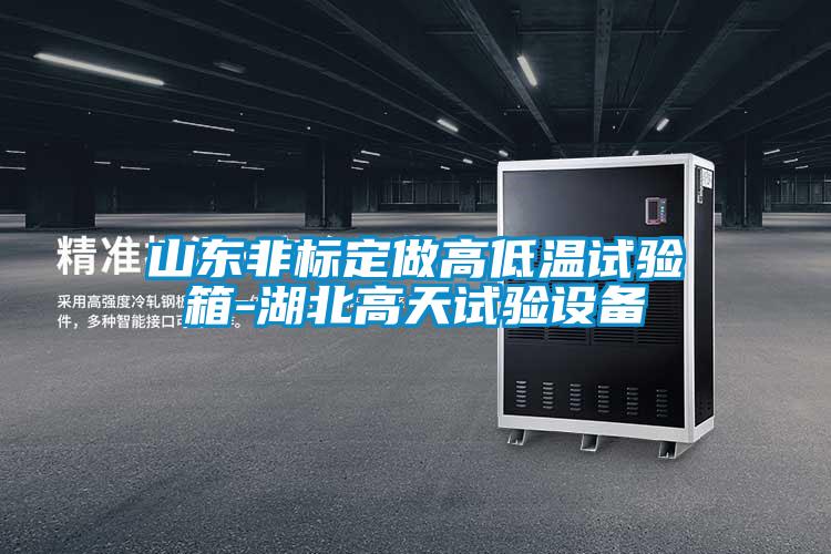 欧美黄色性爱视频网站 山东非标定做高低温试验箱-湖北高天试验设备