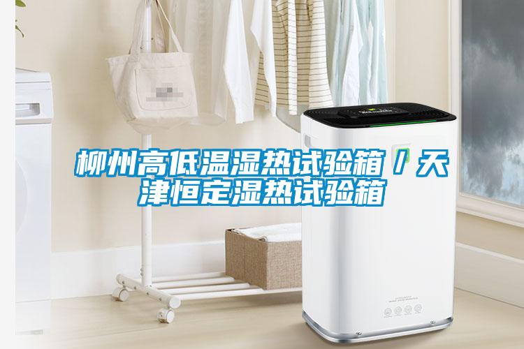 欧美黄色性爱视频网站 柳州高低温湿热试验箱／天津恒定湿热试验箱