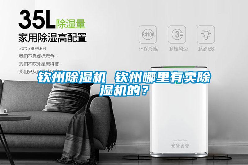 欧美成色手机在线观看 钦州除湿机 钦州哪里有卖除湿机的？