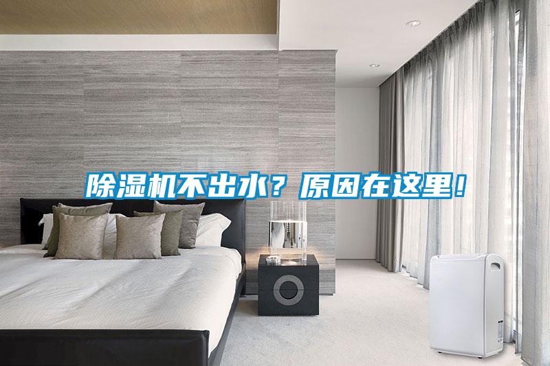 欧美黄色电影在线播放 除湿机不出水？原因在这里！