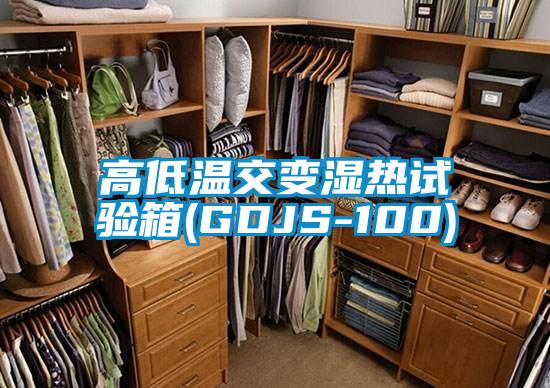欧美黄色性爱视频网站 高低温交变湿热试验箱(GDJS-100)