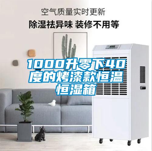 欧美黄色性爱视频网站 1000升零下40度的烤漆款恒温恒湿箱