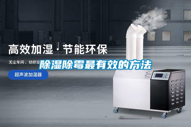 欧美成色手机在线观看 除湿除霉最有效的方法