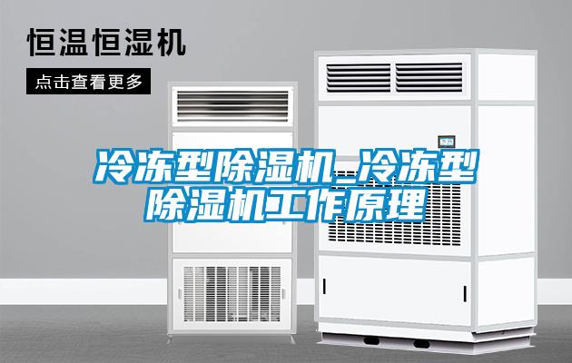欧美黄色性爱视频网站 冷冻型除湿机_冷冻型除湿机工作原理