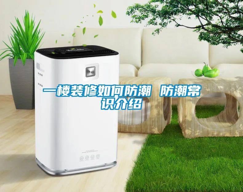 欧美黄色电影在线播放 一楼装修如何防潮 防潮常识介绍