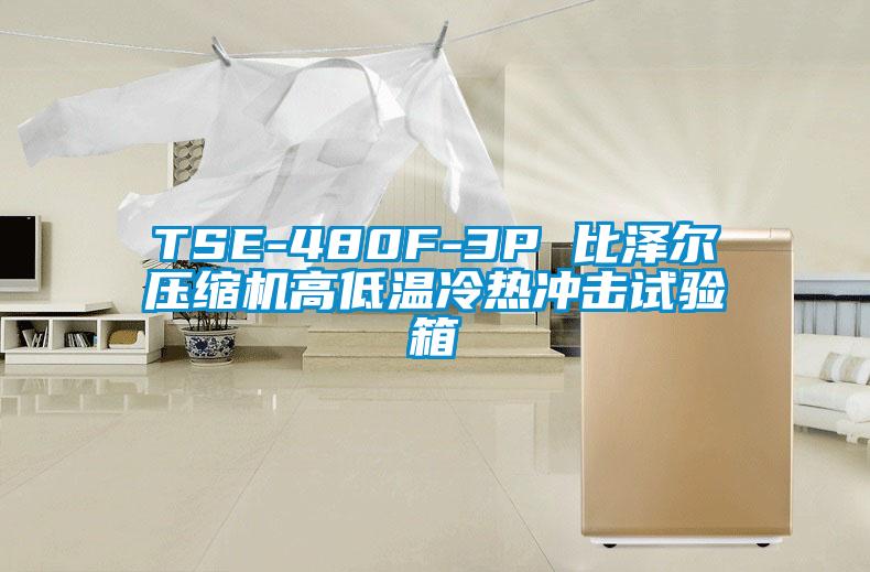 欧美成色手机在线观看 TSE-480F-3P 比泽尔压缩机高低温冷热冲击试验箱