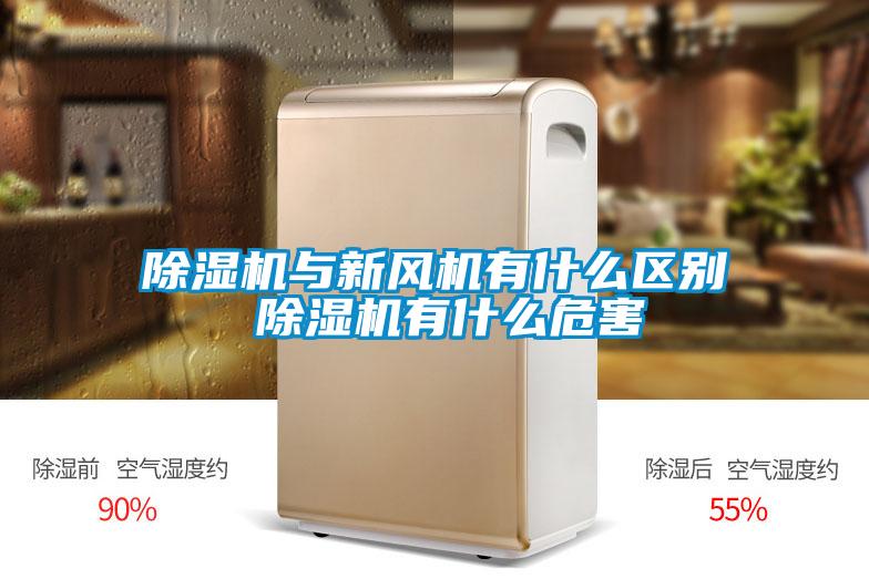 欧美成色手机在线观看 除湿机与新风机有什么区别 除湿机有什么危害