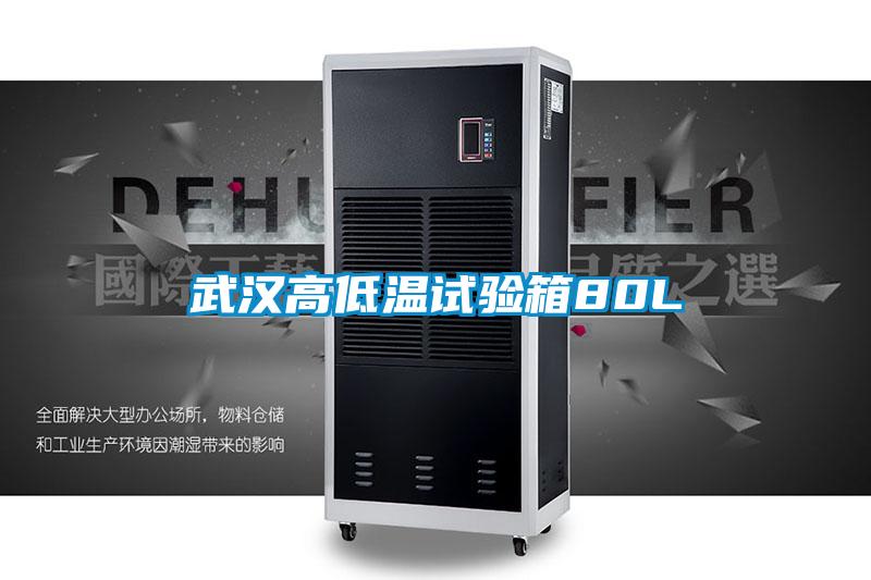欧美黄色电影在线播放 武汉高低温试验箱80L