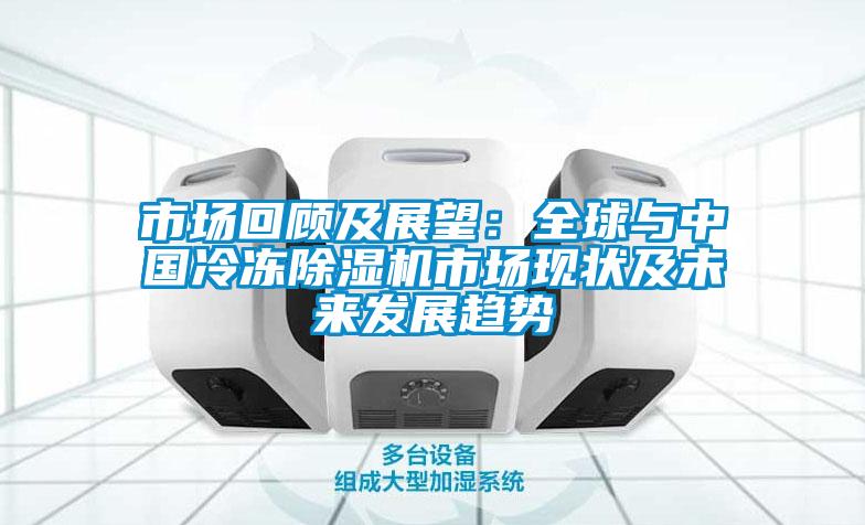 欧美黄色性爱视频网站 市场回顾及展望：全球与中国冷冻除湿机市场现状及未来发展趋势