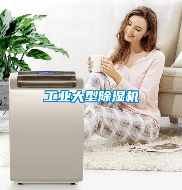 欧美黄色性爱视频网站 工业大型除湿机