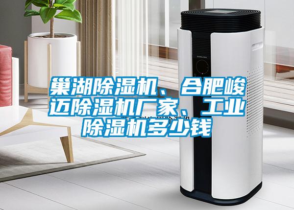 欧美成色手机在线观看 巢湖除湿机、合肥峻迈除湿机厂家、工业除湿机多少钱