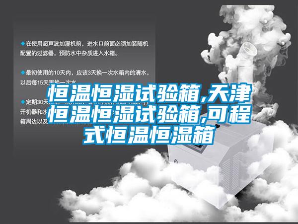 欧美黄色电影在线播放 恒温恒湿试验箱,天津恒温恒湿试验箱,可程式恒温恒湿箱