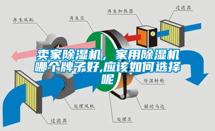 欧美黄色电影在线播放 卖家除湿机，家用除湿机哪个牌子好,应该如何选择呢