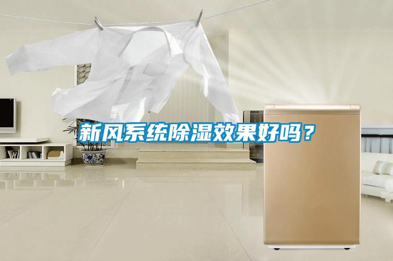 欧美黄色电影在线播放 新风系统除湿效果好吗？