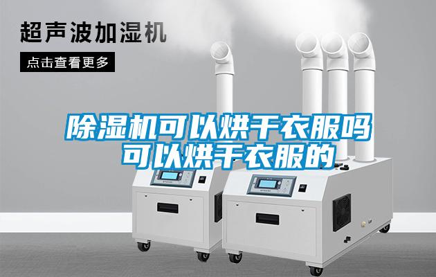 欧美黄色电影在线播放 除湿机可以烘干衣服吗 可以烘干衣服的