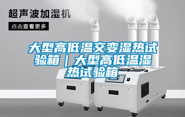 欧美黄色电影在线播放 大型高低温交变湿热试验箱｜大型高低温湿热试验箱