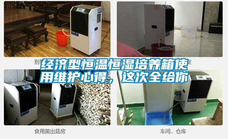 欧美成色手机在线观看 经济型恒温恒湿培养箱使用维护心得，这次全给你