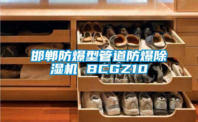 欧美黄色性爱视频网站 邯郸防爆型管道防爆除湿机 BCGZ10