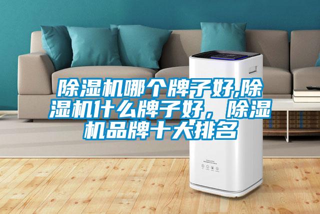 欧美成色手机在线观看 除湿机哪个牌子好,除湿机什么牌子好，除湿机品牌十大排名