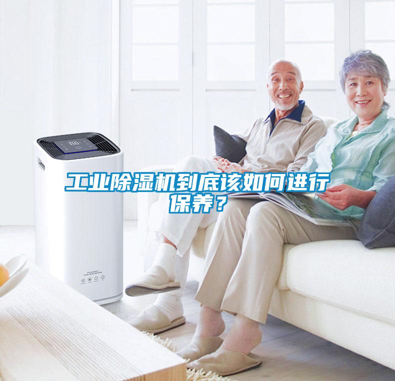 欧美黄色性爱视频网站 工业除湿机到底该如何进行保养？