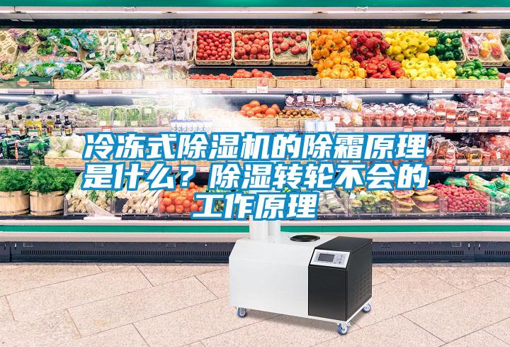 欧美成色手机在线观看 冷冻式除湿机的除霜原理是什么？除湿转轮不会的工作原理