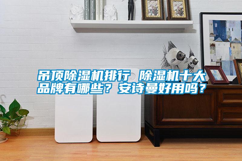 欧美黄色性爱视频网站 吊顶除湿机排行 除湿机十大品牌有哪些？安诗曼好用吗？