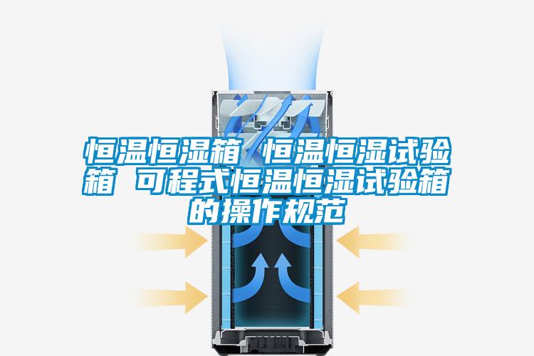 欧美黄色电影在线播放 恒温恒湿箱 恒温恒湿试验箱 可程式恒温恒湿试验箱的操作规范