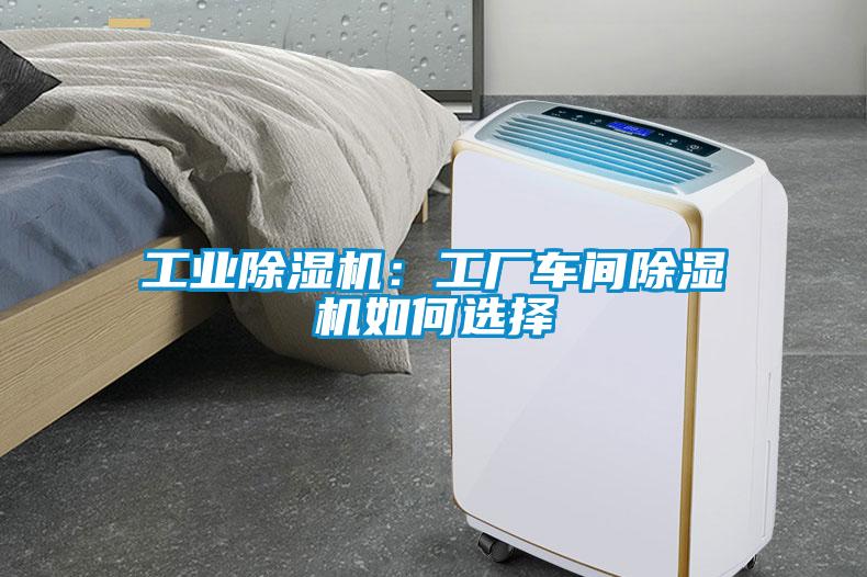欧美黄色电影在线播放 工业除湿机：工厂车间除湿机如何选择