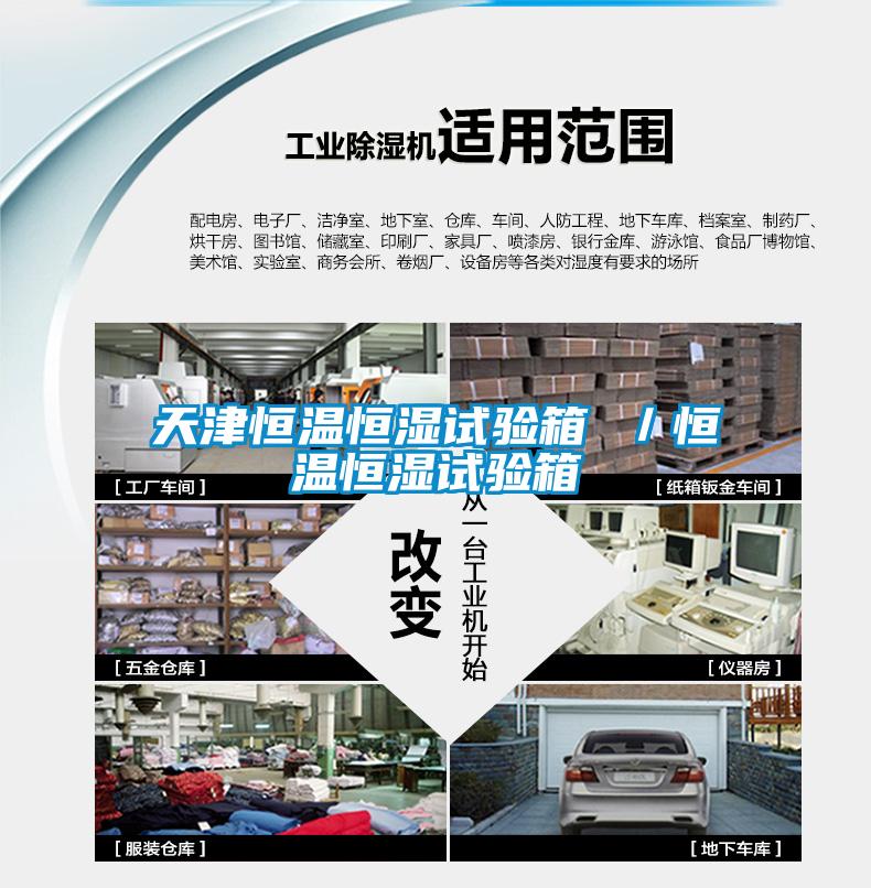 欧美黄色电影在线播放 天津恒温恒湿试验箱 ／恒温恒湿试验箱